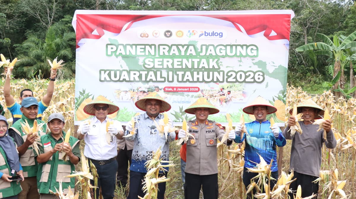 Polres Siak Dukung Swasembada Pangan, Panen Raya Jagung Serentak Kuartal I Tahun 2026 Digelar Bersama Kapolri