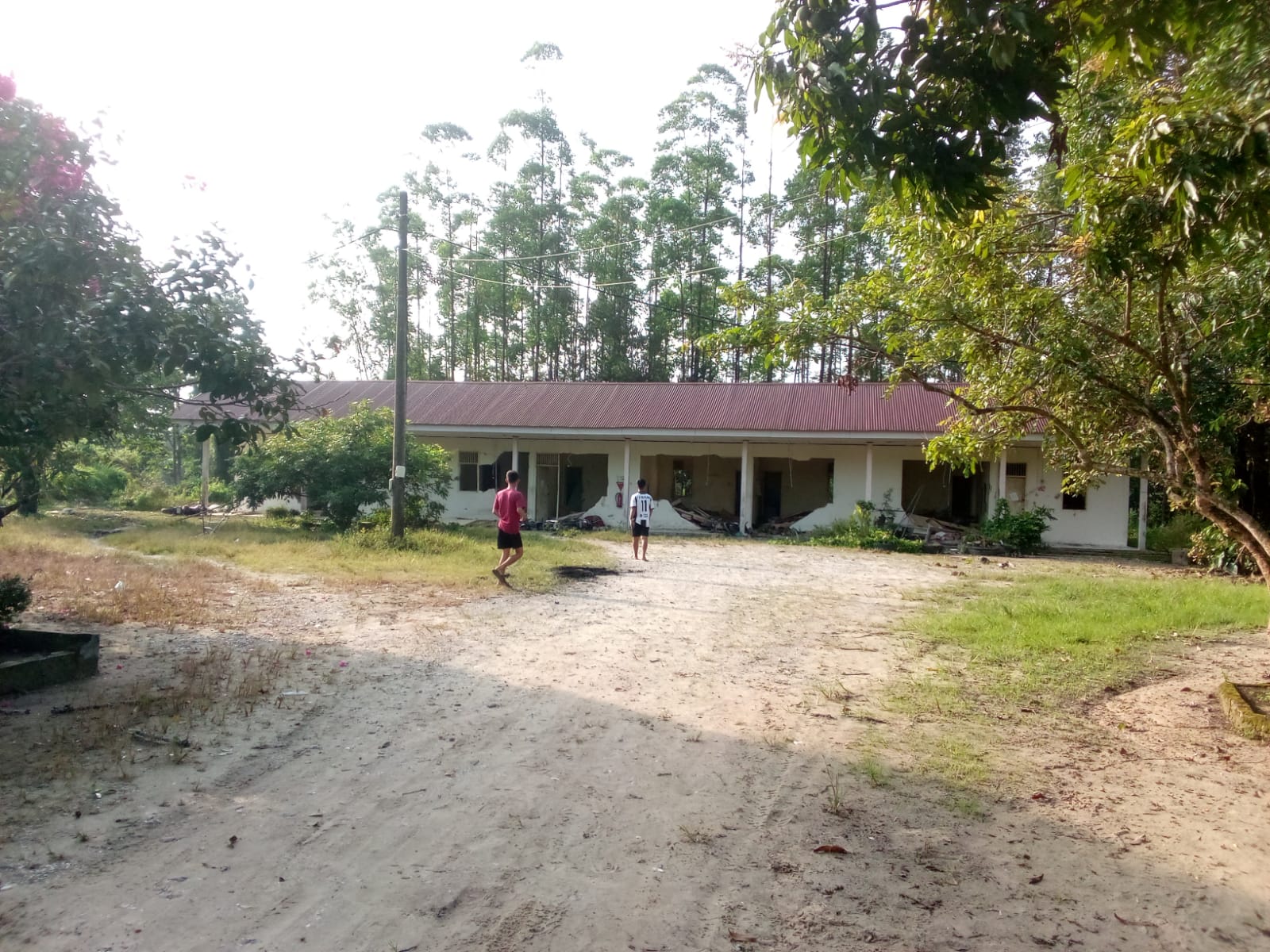 Kawanan Gajah Masuki Perumahan Karyawan di Minas, Kapolres Siak: Prioritaskan Keselamatan Warga dan Mitigasi Konflik Satwa