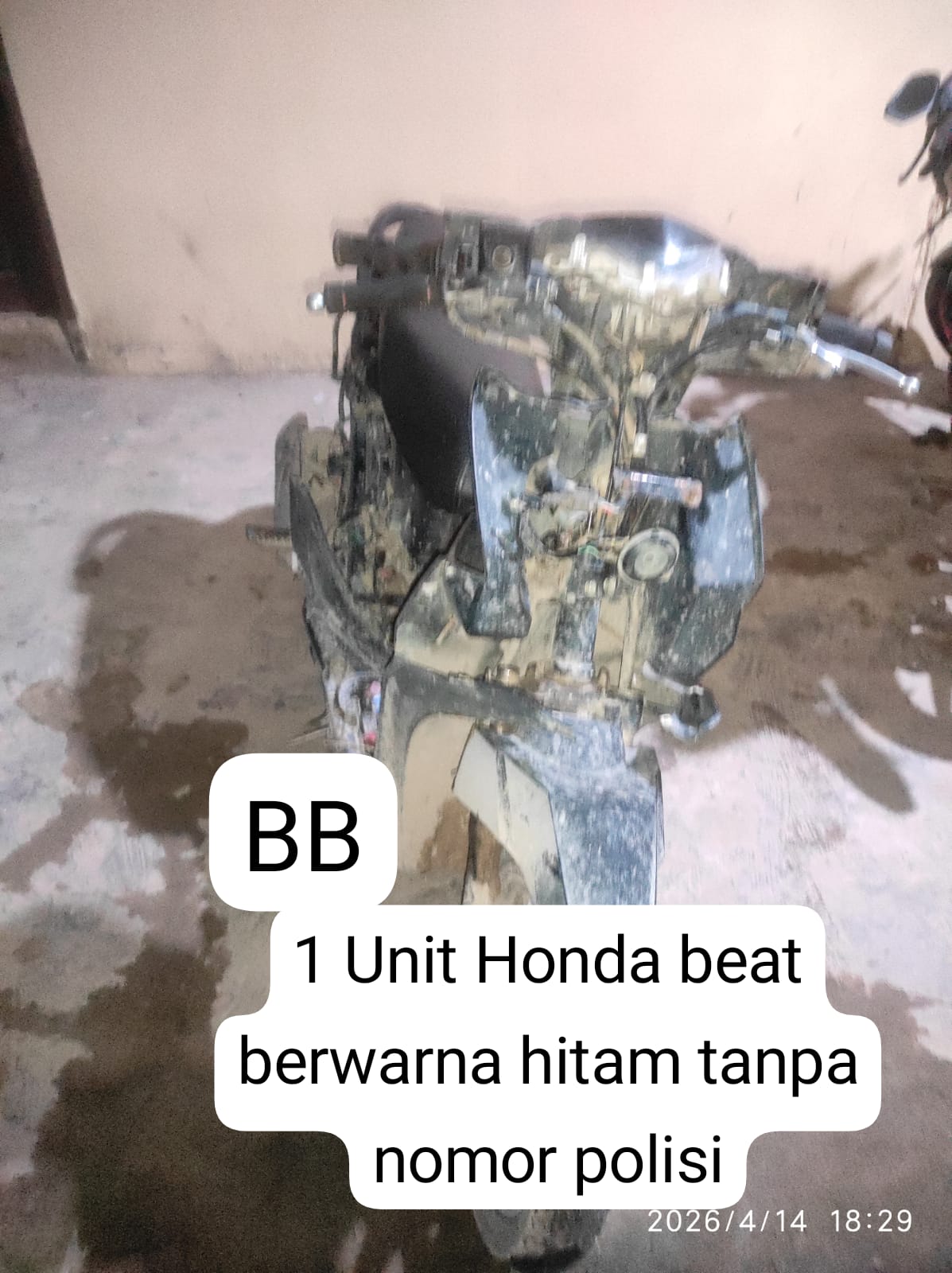 Dua Pria Diamankan Polsek Langgam, Curi 48 Tandan Sawit PT MUP Senilai Rp3 Juta