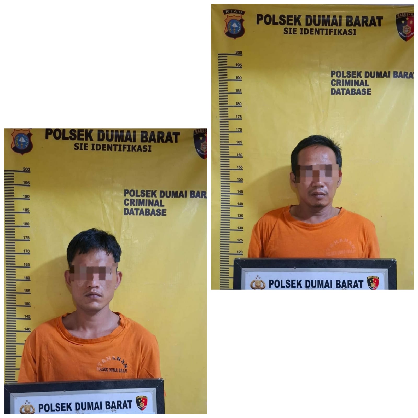Polsek Dumai Barat Tangkap Dua Tersangka Pencurian Pupuk, Hasil Pengembangan Perkara