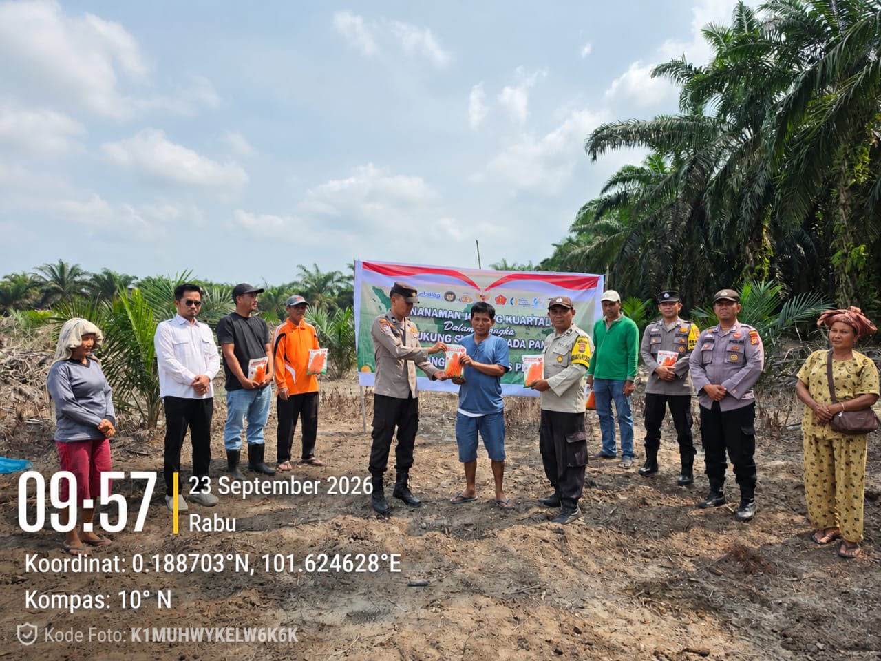 Polsek Langgam Dukung Ketahanan Pangan, Tanam Jagung Pipil di Lahan Tumpang Sari Desa Sotol