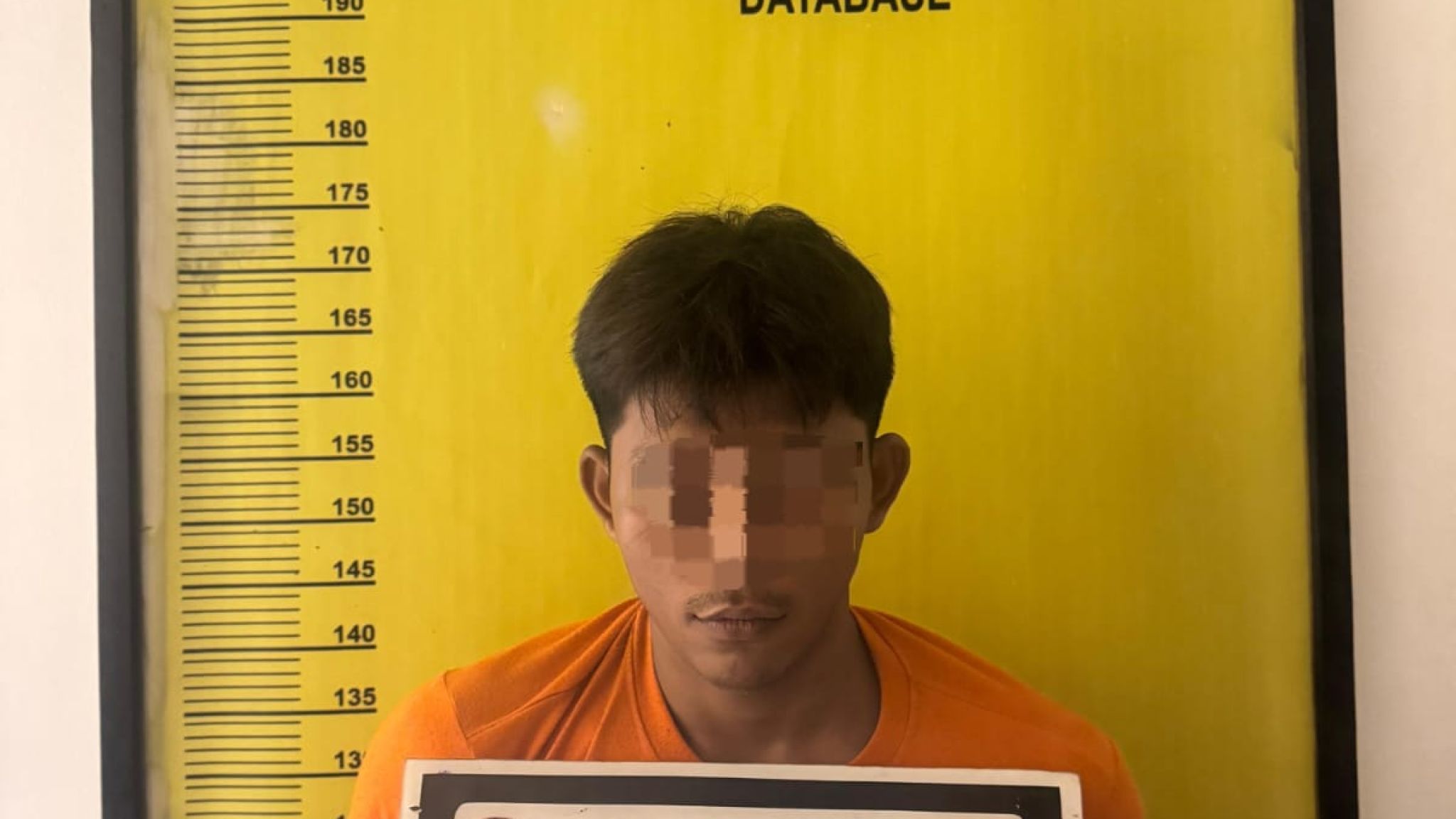 Modus Pinjam Motor Temannya Ternyata Untuk Dijual, Polsek Tambusai Utara Tangkap Pelaku