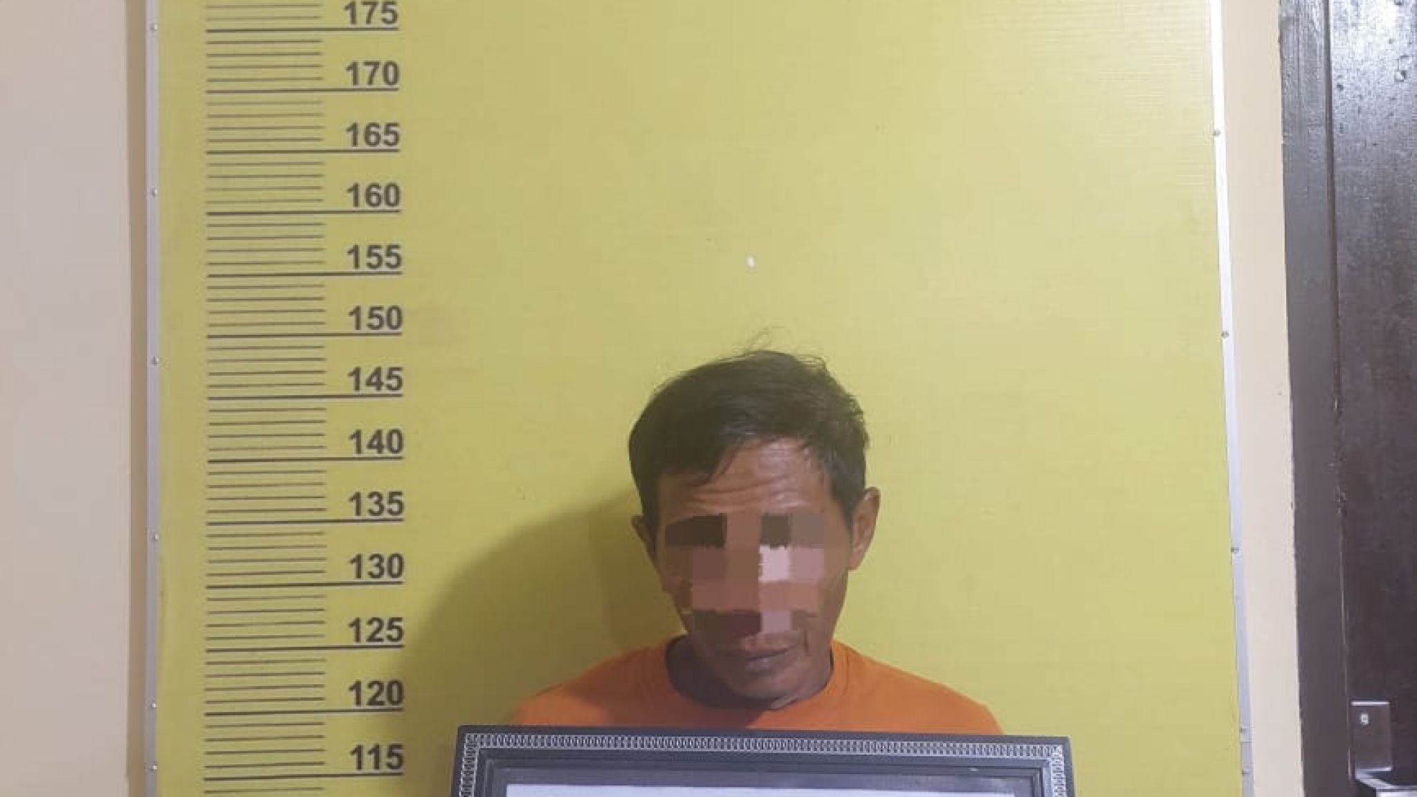 Berusaha mengelabui Petugas, Polsek Tandun berhasil Bekuk Pelaku Pencurian Buah Sawit Milik PT. Budi Murni