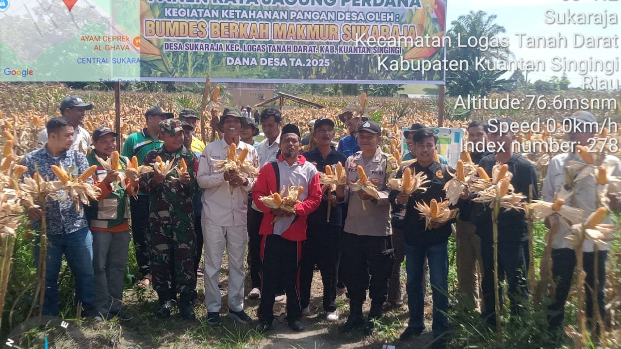 Polsek Logas Tanah Darat Dukung Program Swasembada Pangan, Hadiri Panen Raya Jagung Pipil Bumdes Berkah Makmur Sukaraja