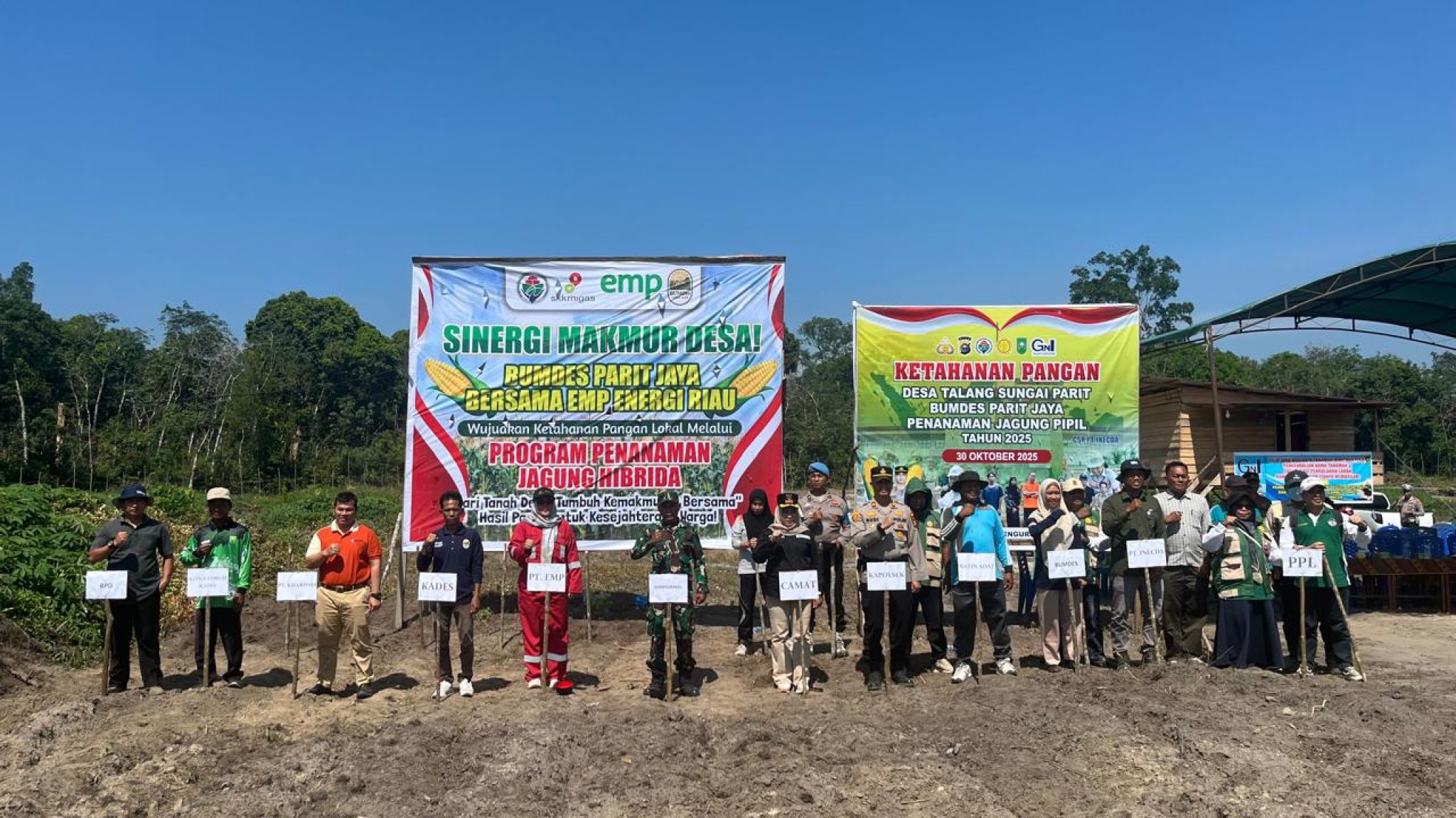 Sinergi Makmur di Sungai Parit: Polsek Kelayang dan BUMDes Bersama Perusahaan Wujudkan Ketahanan Pangan Lewat Penanaman Jagung Kibrida