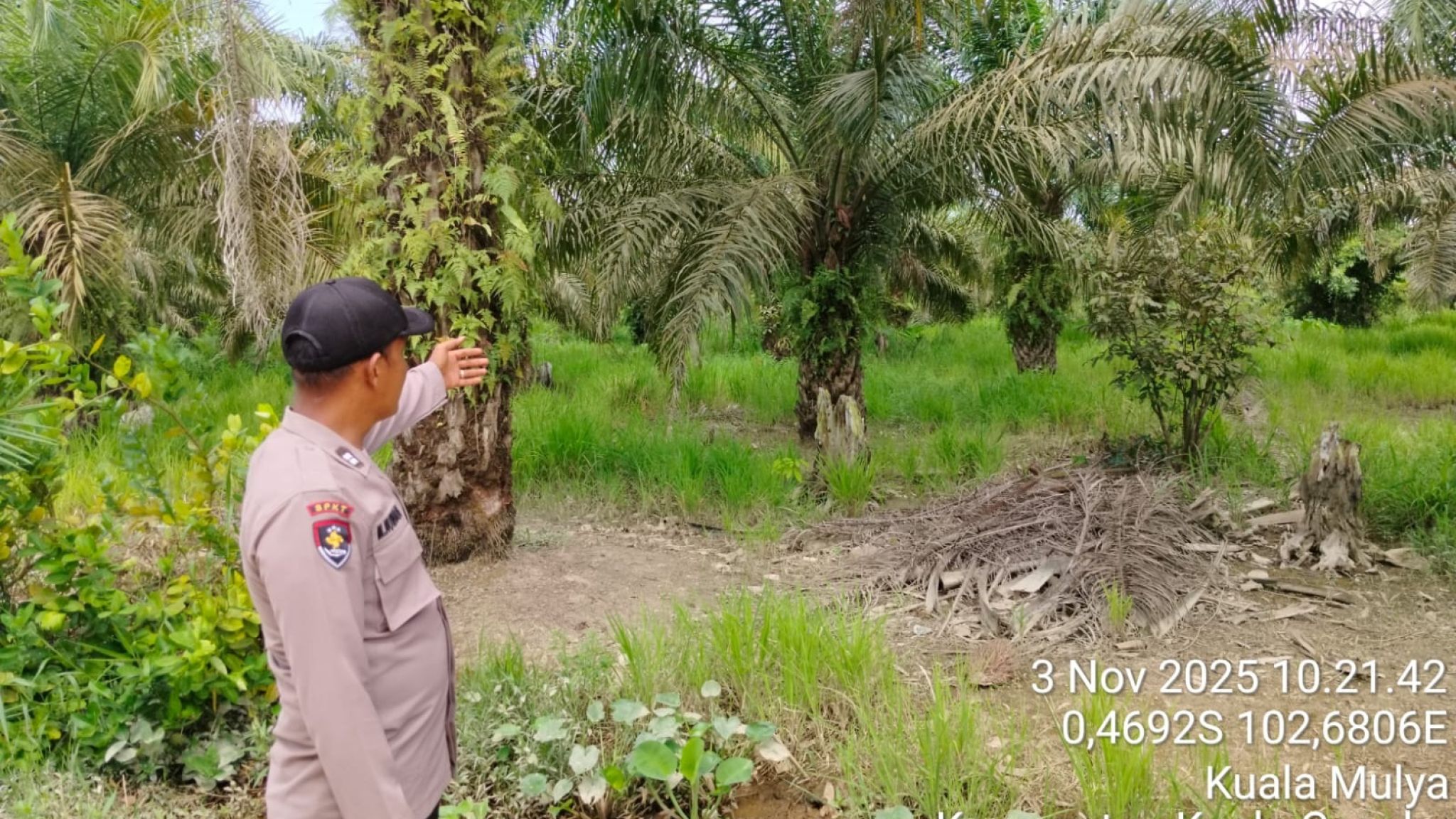 Polsek Kuala Cenaku Lakukan Patroli Perkebunan Sawit, Cegah Pencurian dan Jaga Kamtibmas Kondusif