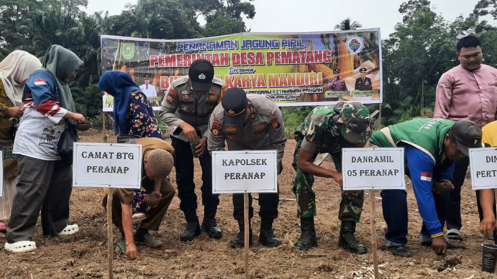 Polsek Peranap Dukung Ketahanan Pangan Lewat Penanaman Jagung Pipil di Desa Pematang
