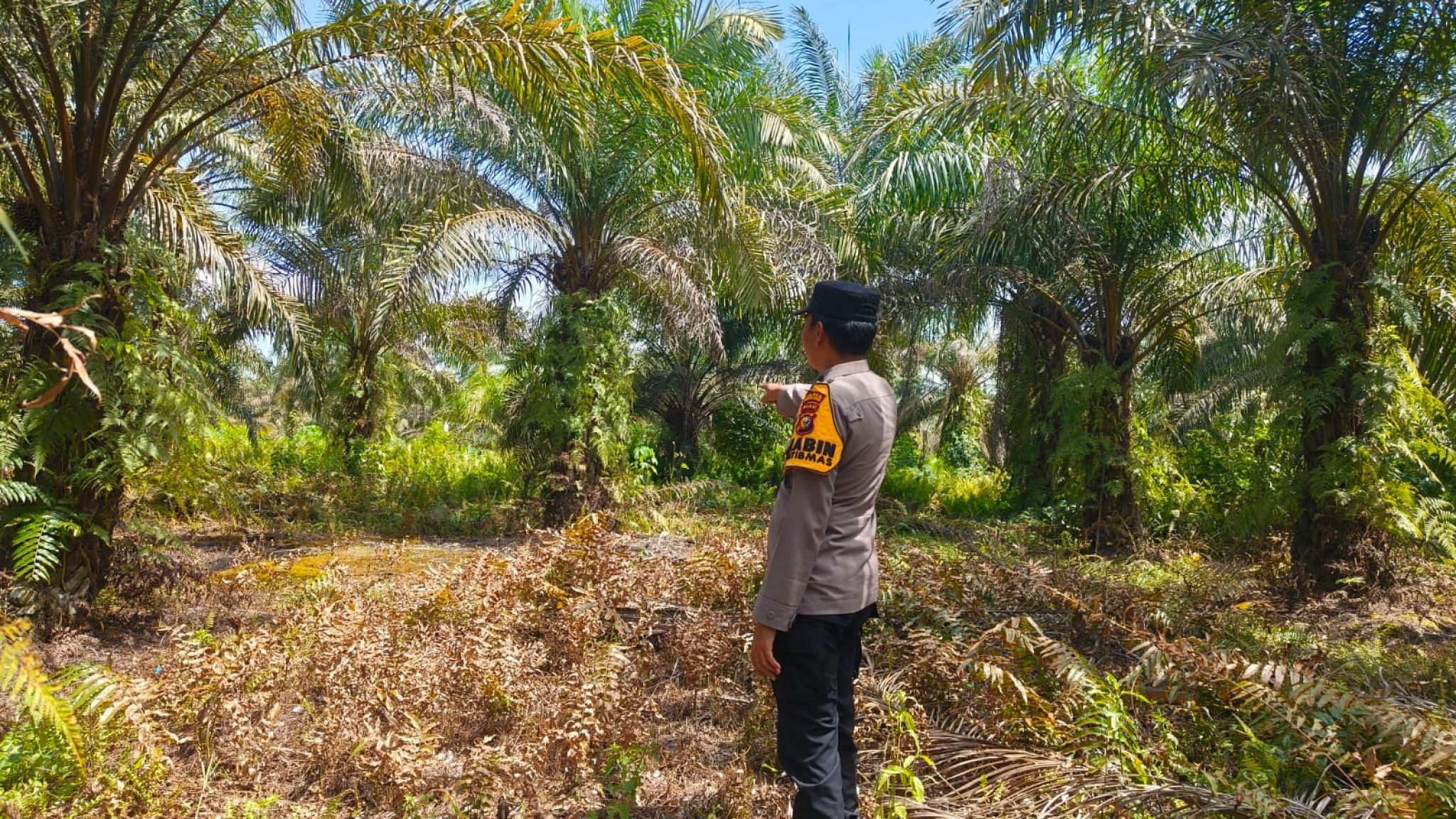 Bhabinkamtibmas Polsek Bonai Darussalam Gencarkan Patroli Karhutla, Pastikan Wilayah Aman dari Titik Api