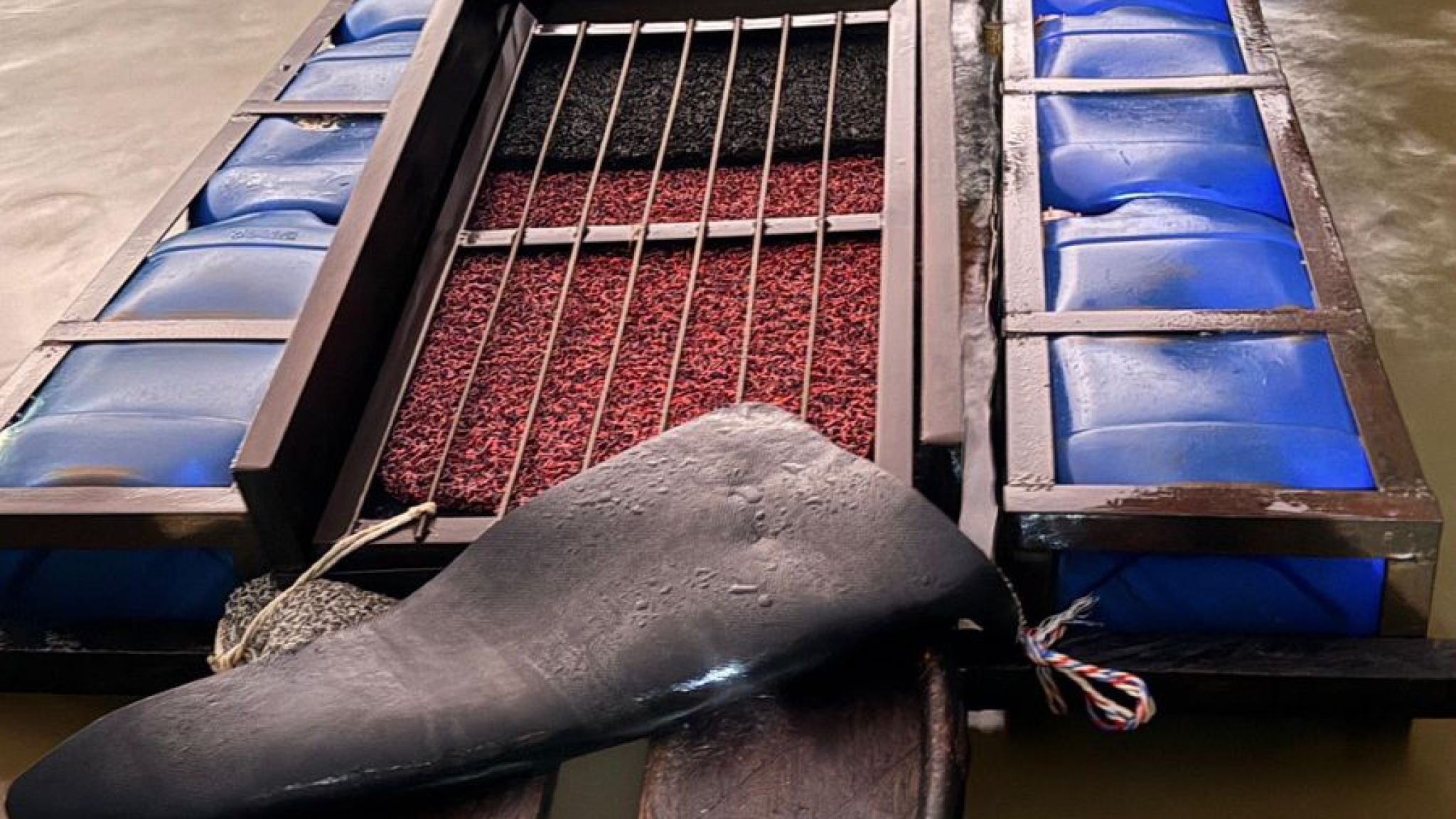 Polres Rokan Hulu Bekuk Tiga Penambang Emas Ilegal di Sungai Rokan