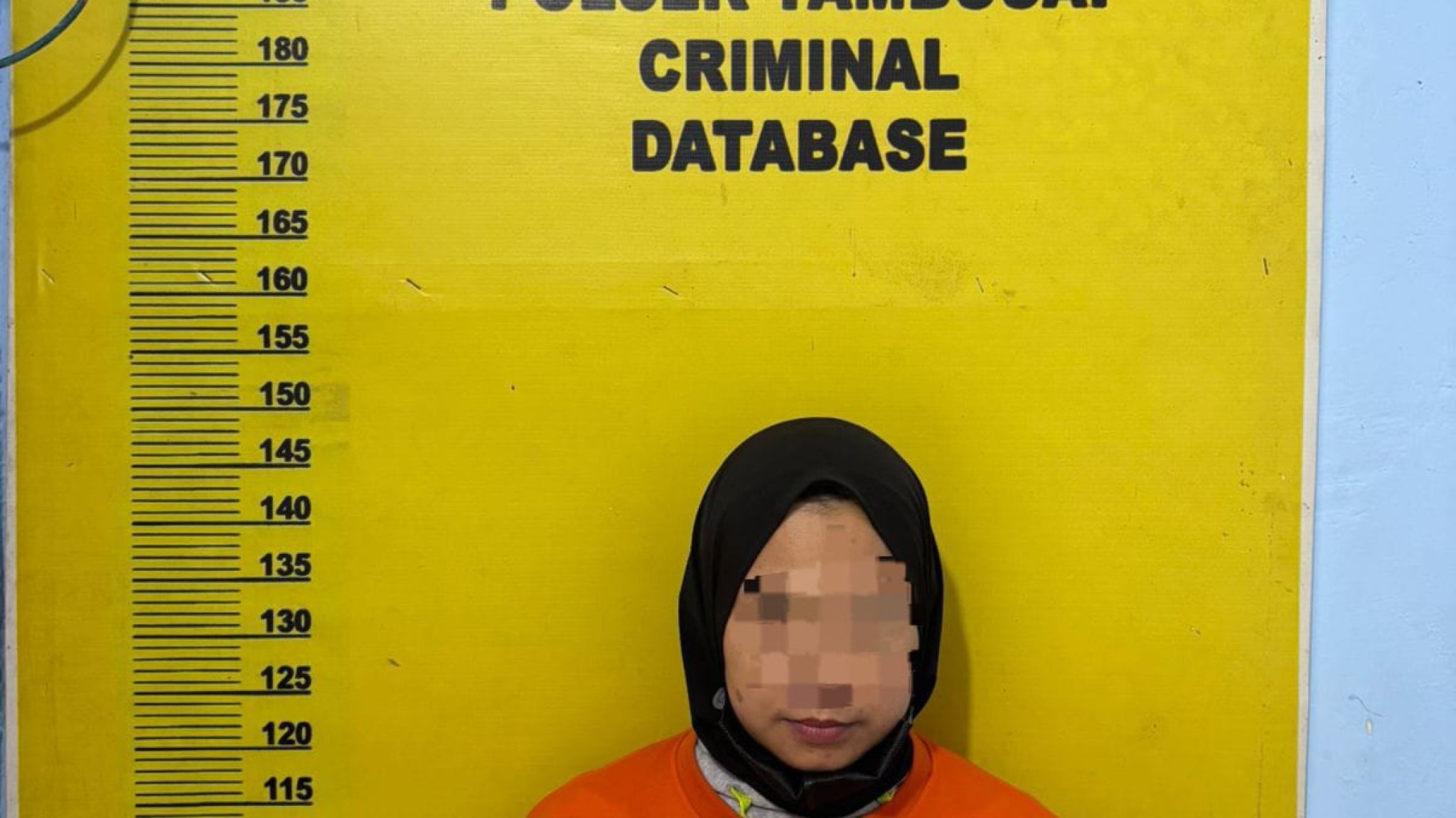 Unit Reskrim Polsek Tambusai Tangkap Seorang Wanita Pelaku Penggelapan Mobil dan Uang Ratusan Juta